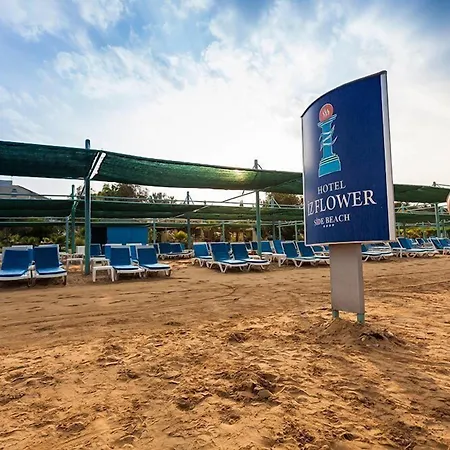 Hotel Iz Flower 4*